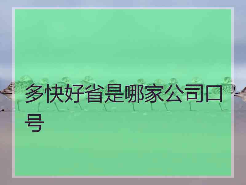 多快好省是哪家公司口号