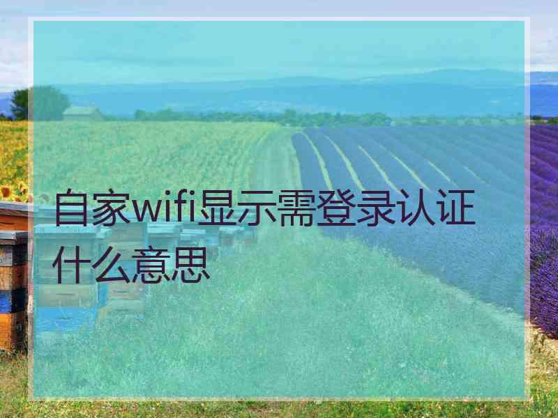 自家wifi显示需登录认证什么意思