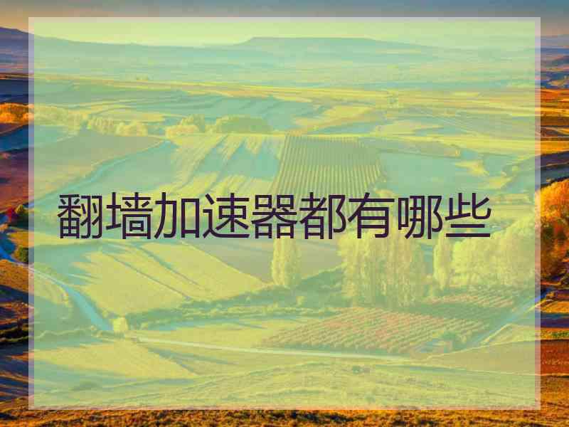 翻墙加速器都有哪些