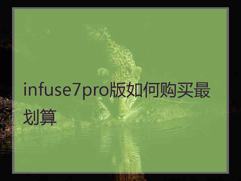 infuse7pro版如何购买最划算