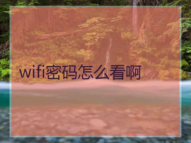 wifi密码怎么看啊