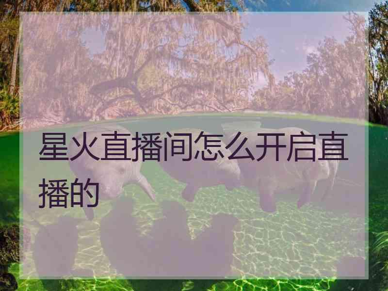 星火直播间怎么开启直播的