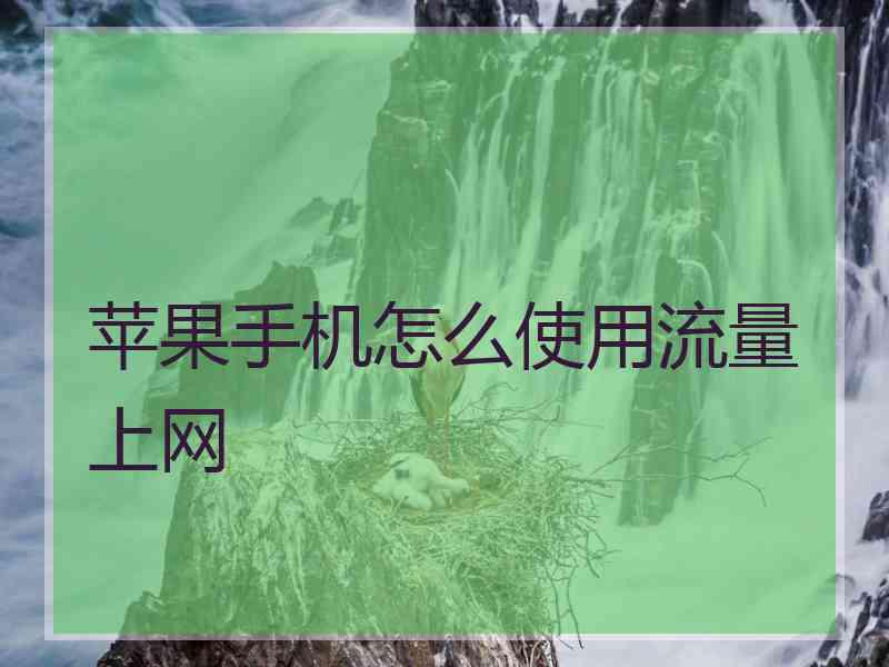 苹果手机怎么使用流量上网