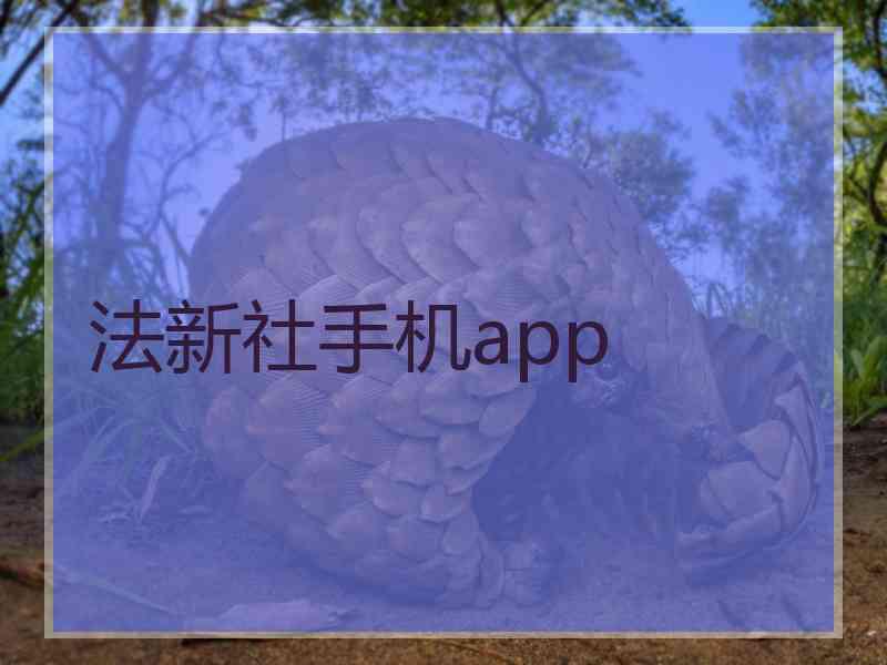 法新社手机app