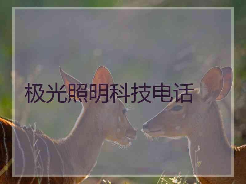 极光照明科技电话