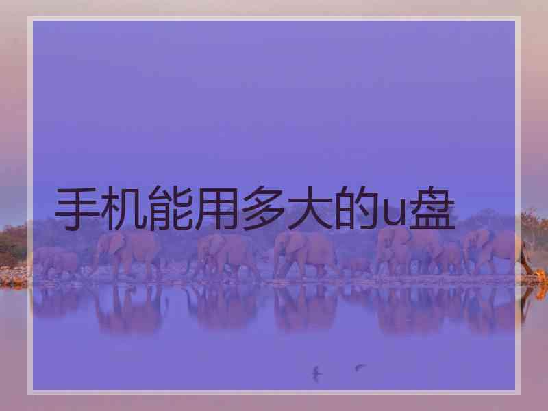 手机能用多大的u盘