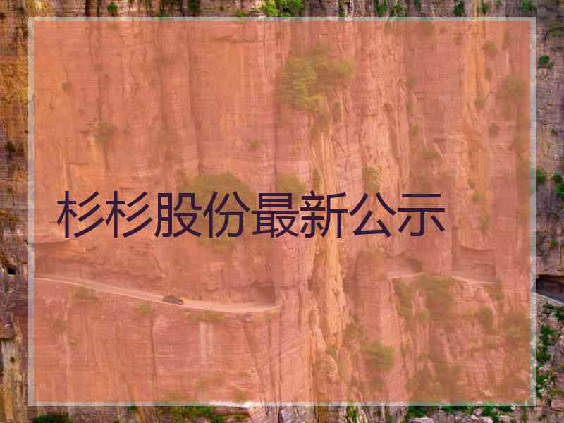 杉杉股份最新公示