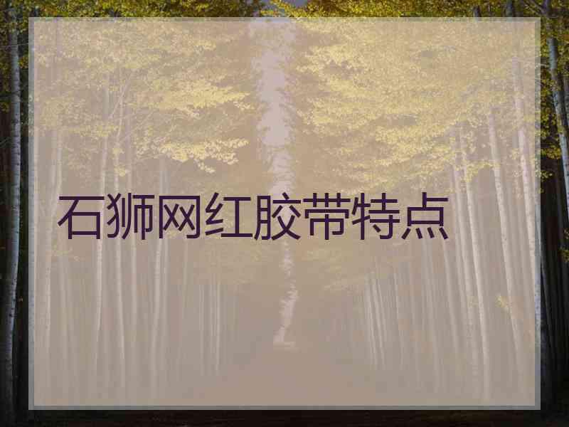 石狮网红胶带特点