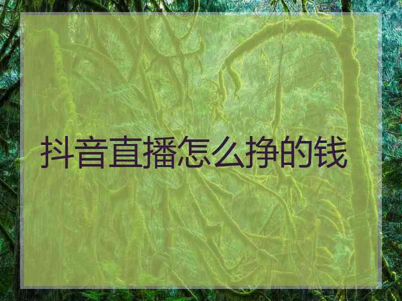 抖音直播怎么挣的钱