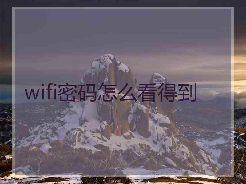 wifi密码怎么看得到