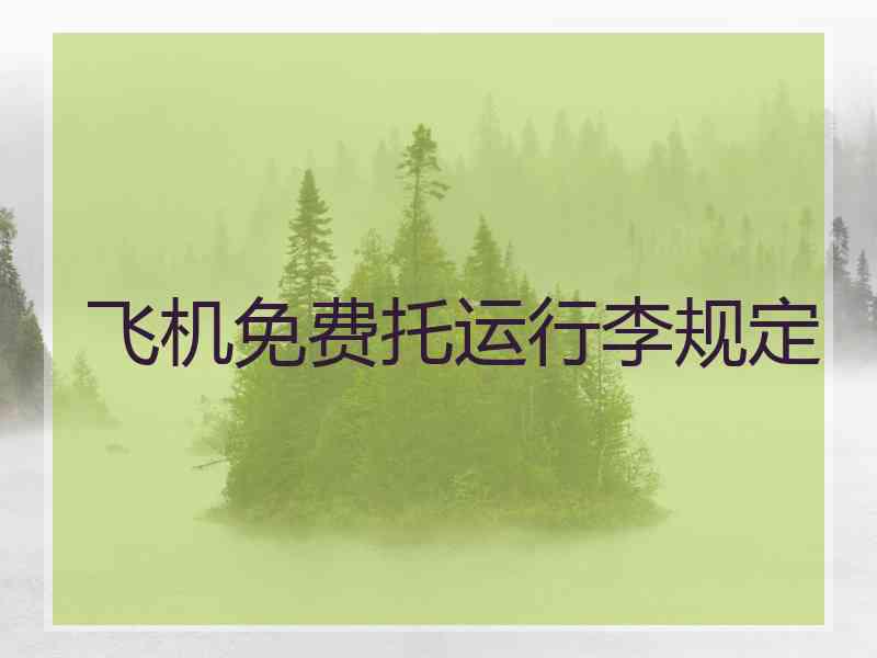 飞机免费托运行李规定