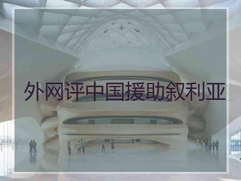 外网评中国援助叙利亚