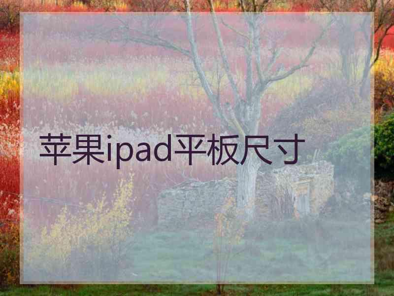 苹果ipad平板尺寸