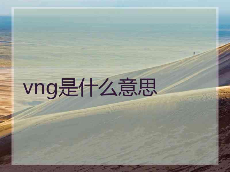 vng是什么意思