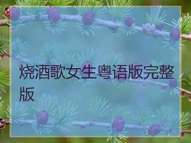 烧酒歌女生粤语版完整版