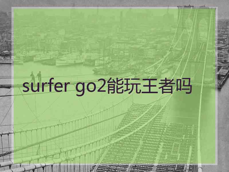 surfer go2能玩王者吗