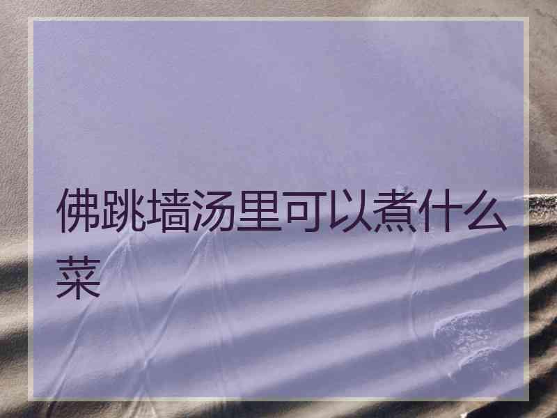 佛跳墙汤里可以煮什么菜