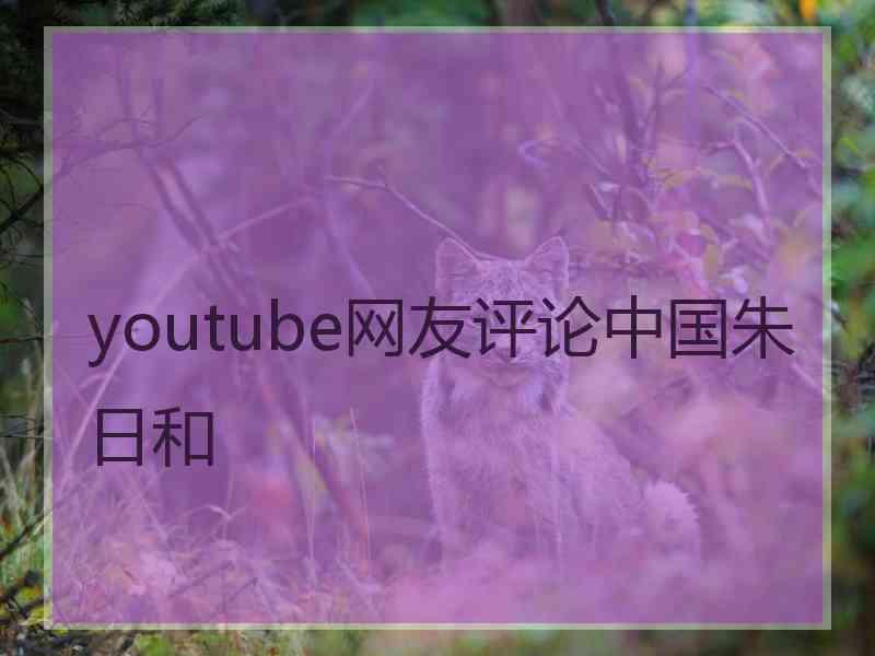 youtube网友评论中国朱日和