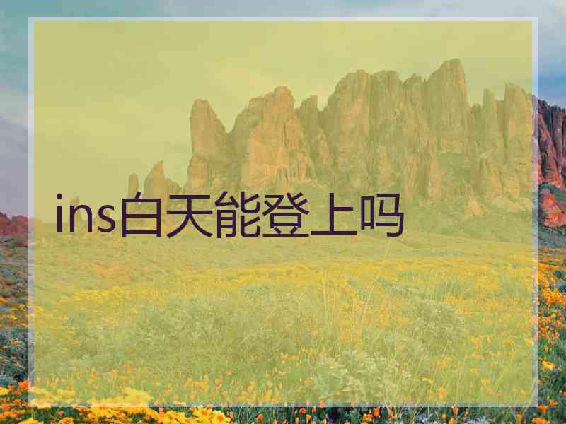 ins白天能登上吗