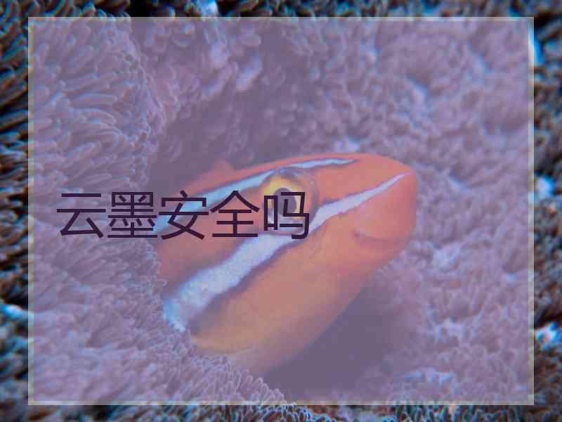 云墨安全吗