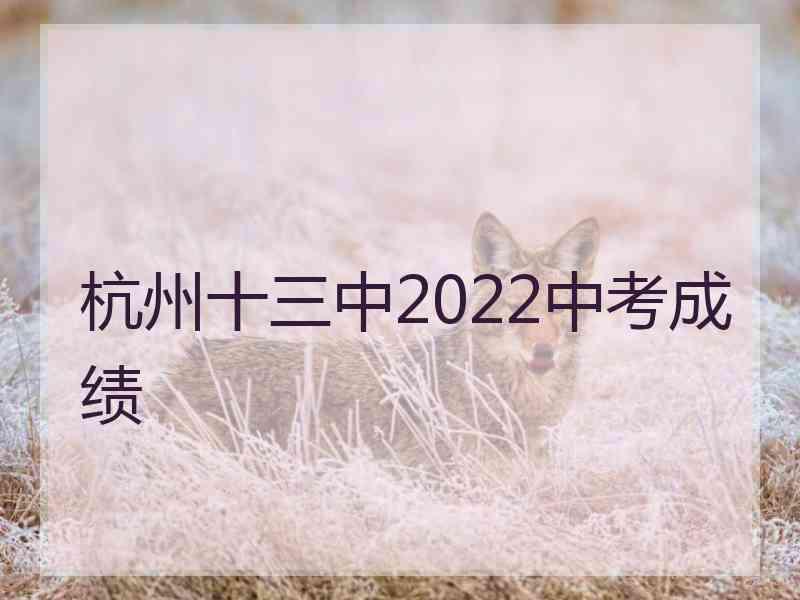 杭州十三中2022中考成绩