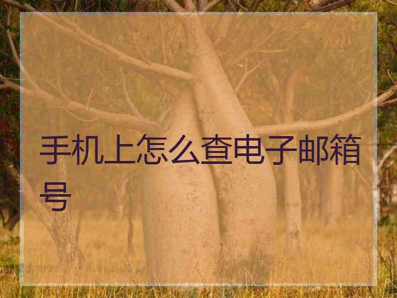 手机上怎么查电子邮箱号