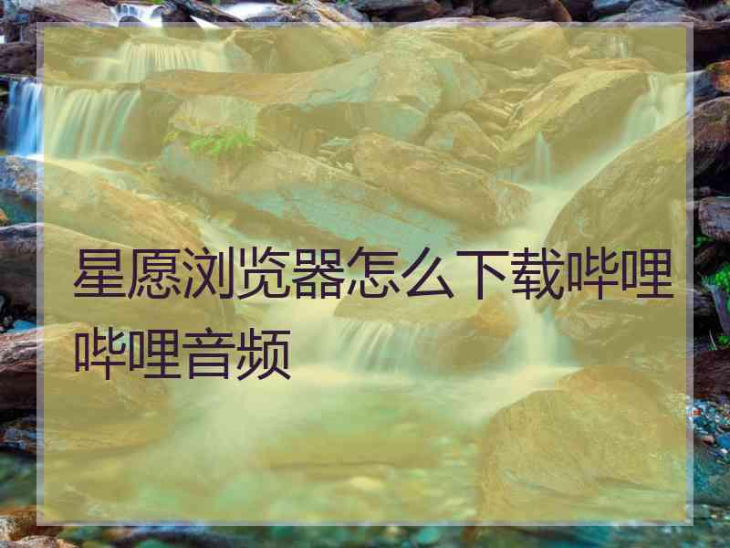 星愿浏览器怎么下载哔哩哔哩音频