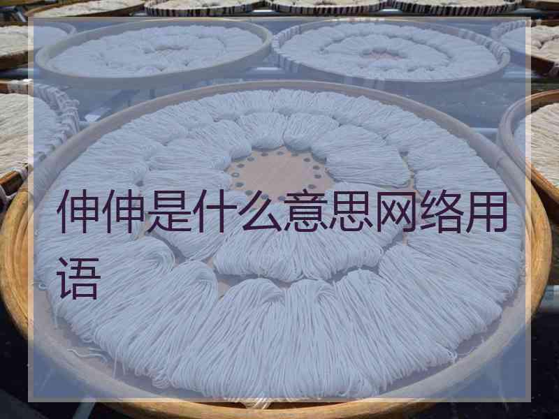 伸伸是什么意思网络用语
