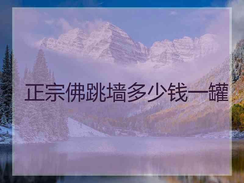 正宗佛跳墙多少钱一罐