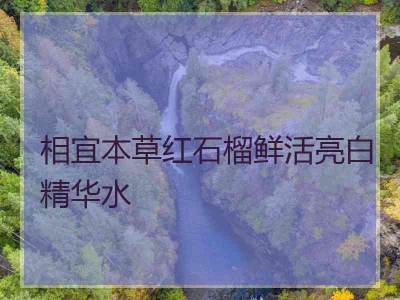 相宜本草红石榴鲜活亮白精华水