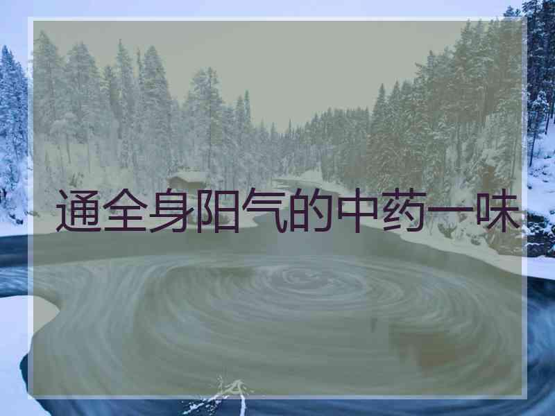 通全身阳气的中药一味