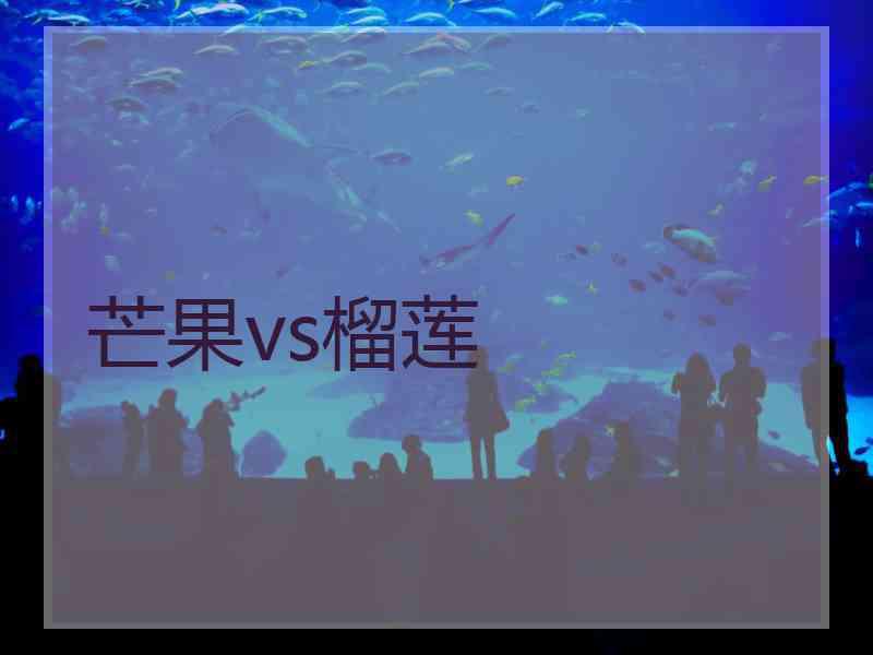 芒果vs榴莲