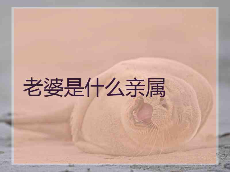 老婆是什么亲属