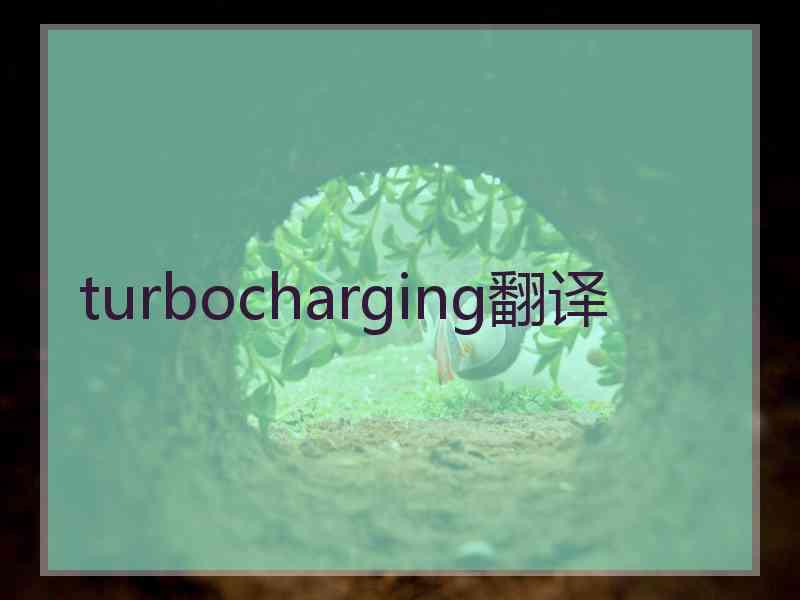 turbocharging翻译