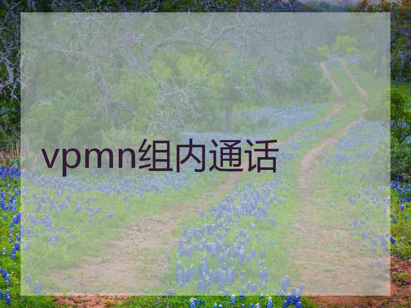 vpmn组内通话