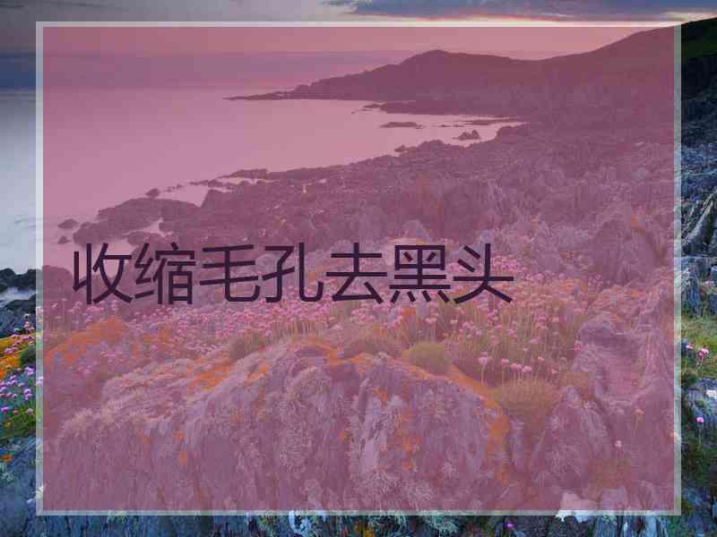 收缩毛孔去黑头
