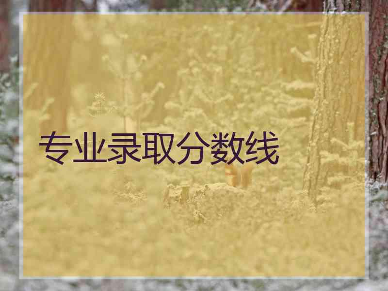 专业录取分数线