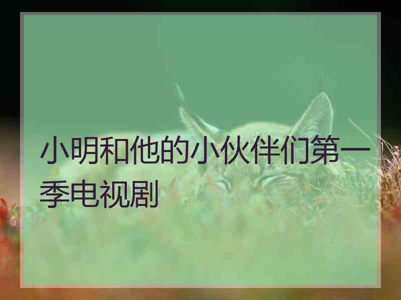 小明和他的小伙伴们第一季电视剧