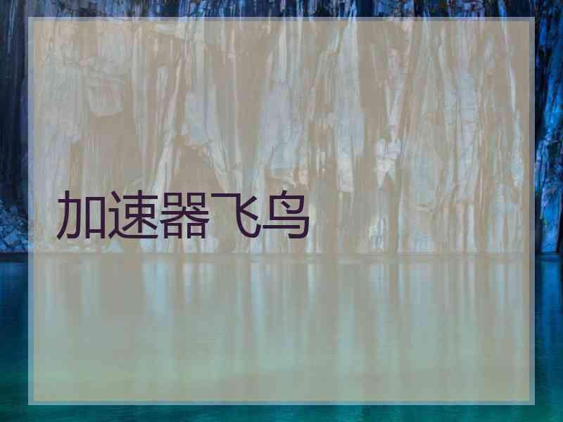 加速器飞鸟