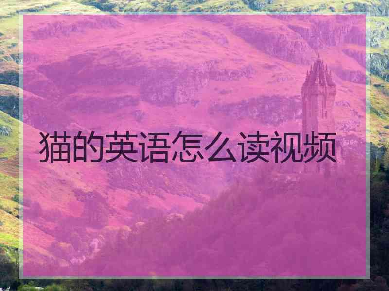 猫的英语怎么读视频