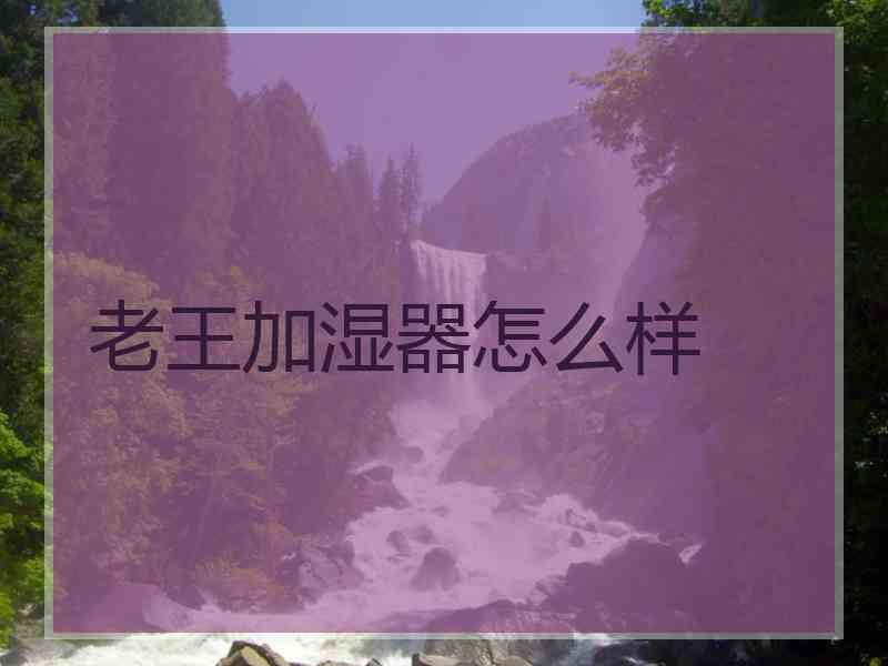 老王加湿器怎么样