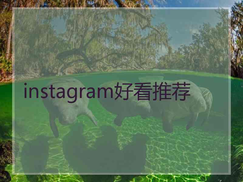instagram好看推荐