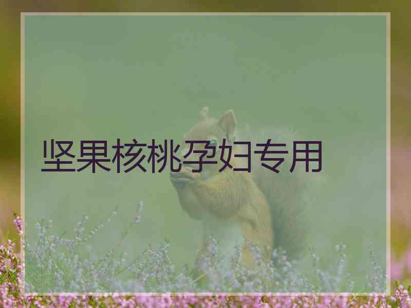 坚果核桃孕妇专用