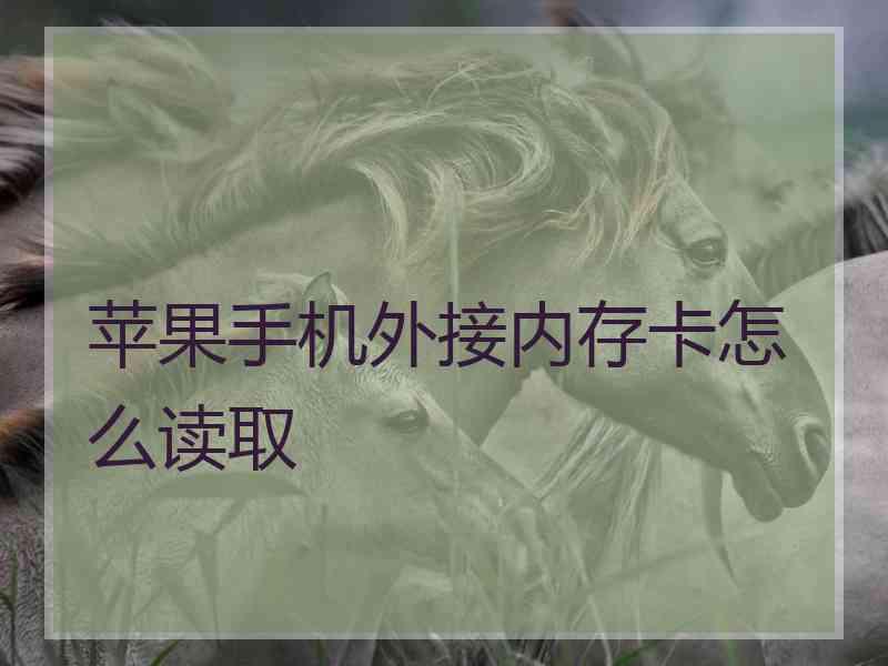 苹果手机外接内存卡怎么读取