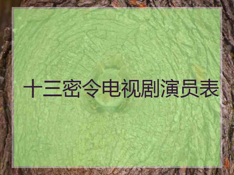 十三密令电视剧演员表