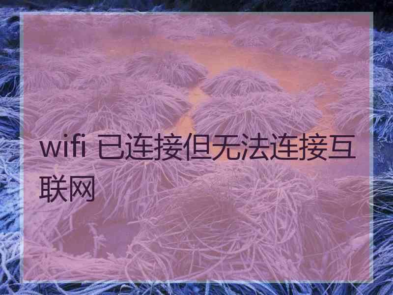 wifi 已连接但无法连接互联网