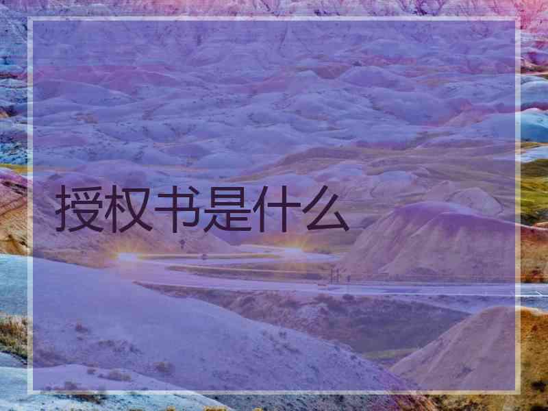 授权书是什么