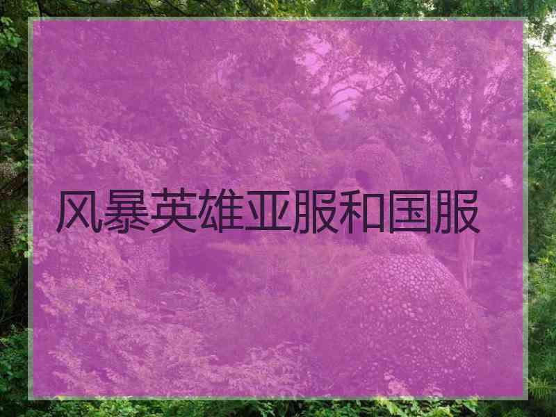 风暴英雄亚服和国服