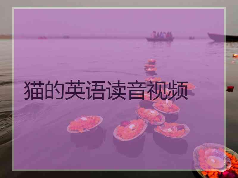 猫的英语读音视频