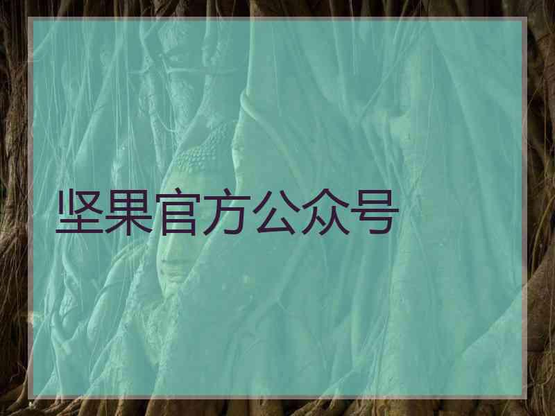 坚果官方公众号